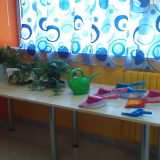In classe c'� anche l'angolo verde dedicato alle piante